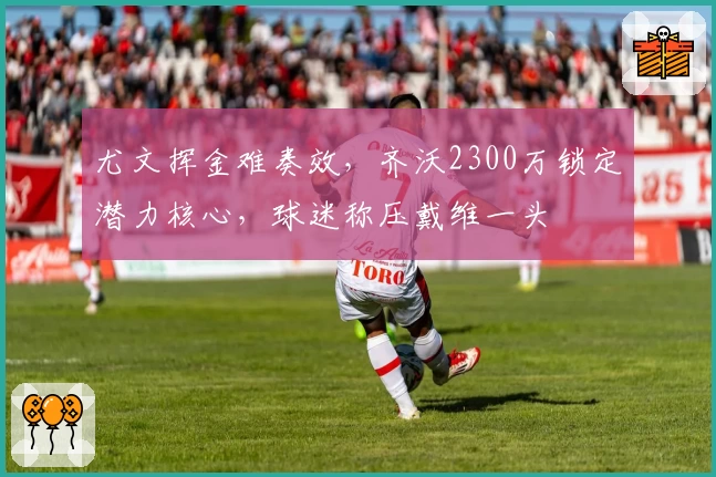 尤文挥金难奏效，齐沃2300万锁定潜力核心，球迷称压戴维一头