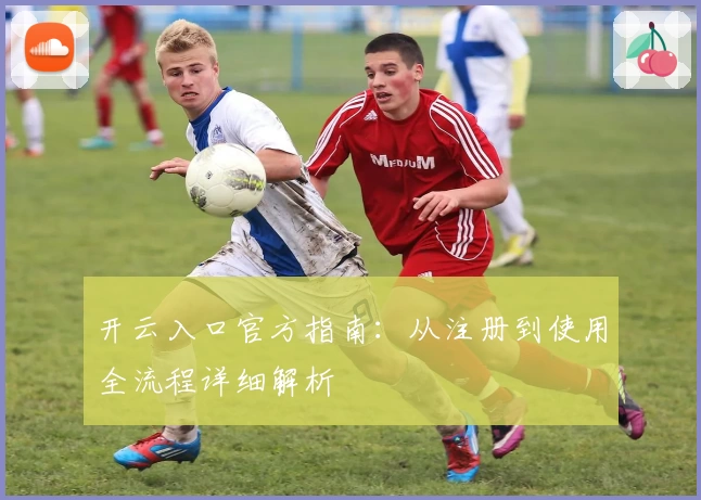 开云入口官方指南：从注册到使用全流程详细解析
