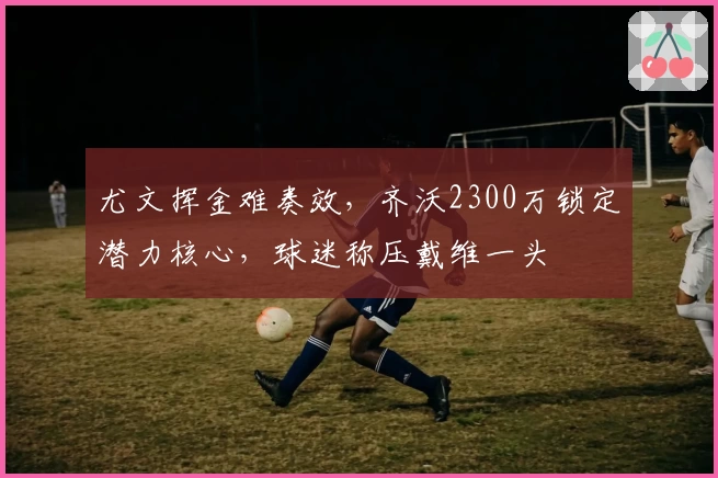 尤文挥金难奏效，齐沃2300万锁定潜力核心，球迷称压戴维一头