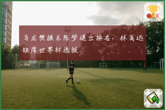 马龙樊振东陈梦退出排名，林高远缺席世界杯选拔