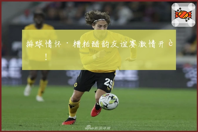 排球情怀·糟粕醋韵友谊赛激情开赛！